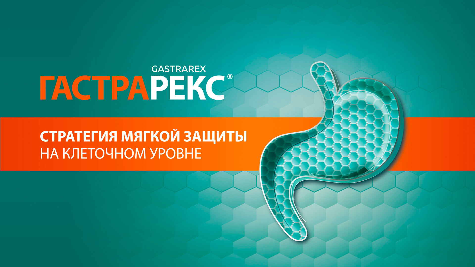 Как защитить желудок - стратегия мягкой защиты на клеточном уровне ...